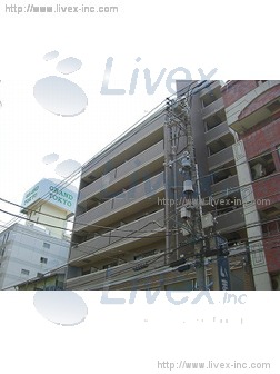 クレインコート