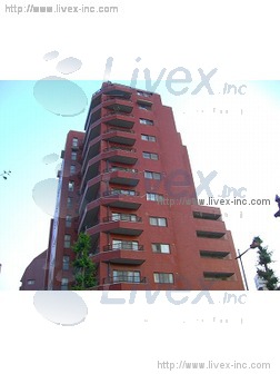 シャンボール八王子ビル