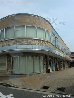 椿森ウェルズ21ビル