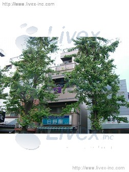 ジュネス・キダビル