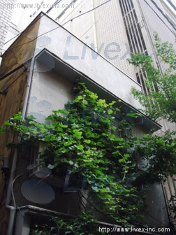 紀ノ國邸ビル