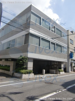 アオヤギビル