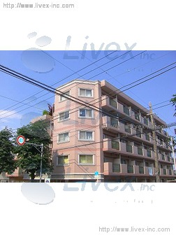 リブレ子安ビル