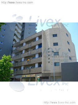 (取壊済)沼田ビル