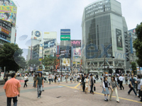 神宮前・渋谷・道玄坂エリア