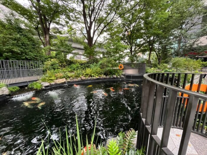 東京トーチ常盤橋タワー錦鯉が泳ぐ池