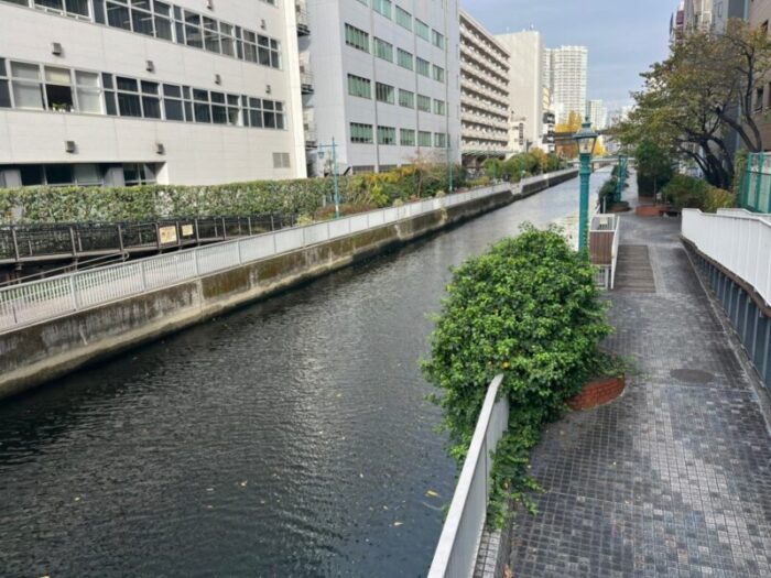 芝浦ルネサイトタワー 近隣に流れる川