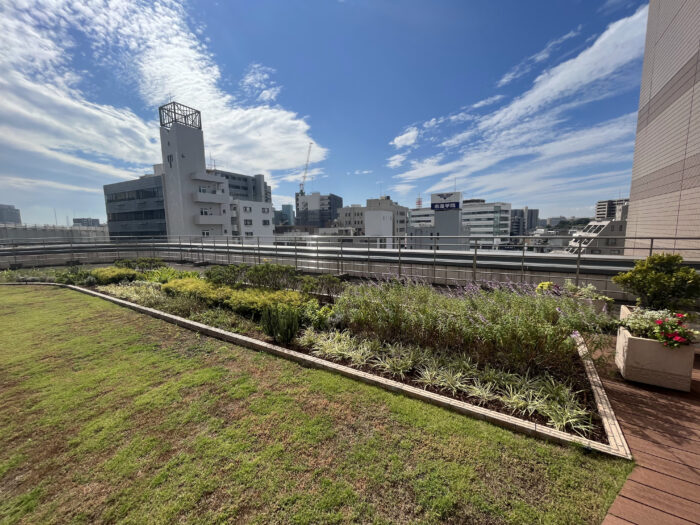 空中庭園